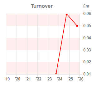 Chart 1:Turnover year-on-year
